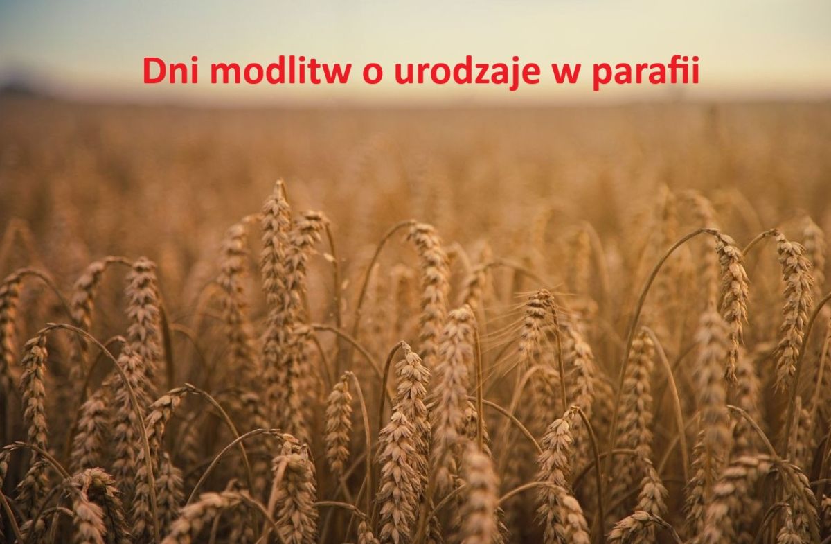 Dni krzyżowe